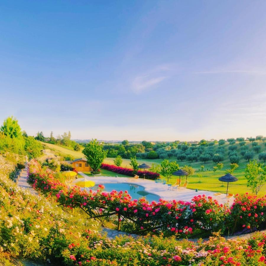 angolo di paradiso Formello Bagian luar foto