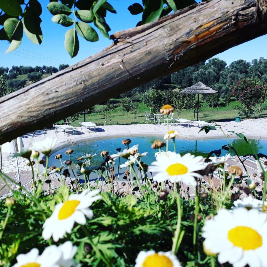 angolo di paradiso Formello Bagian luar foto