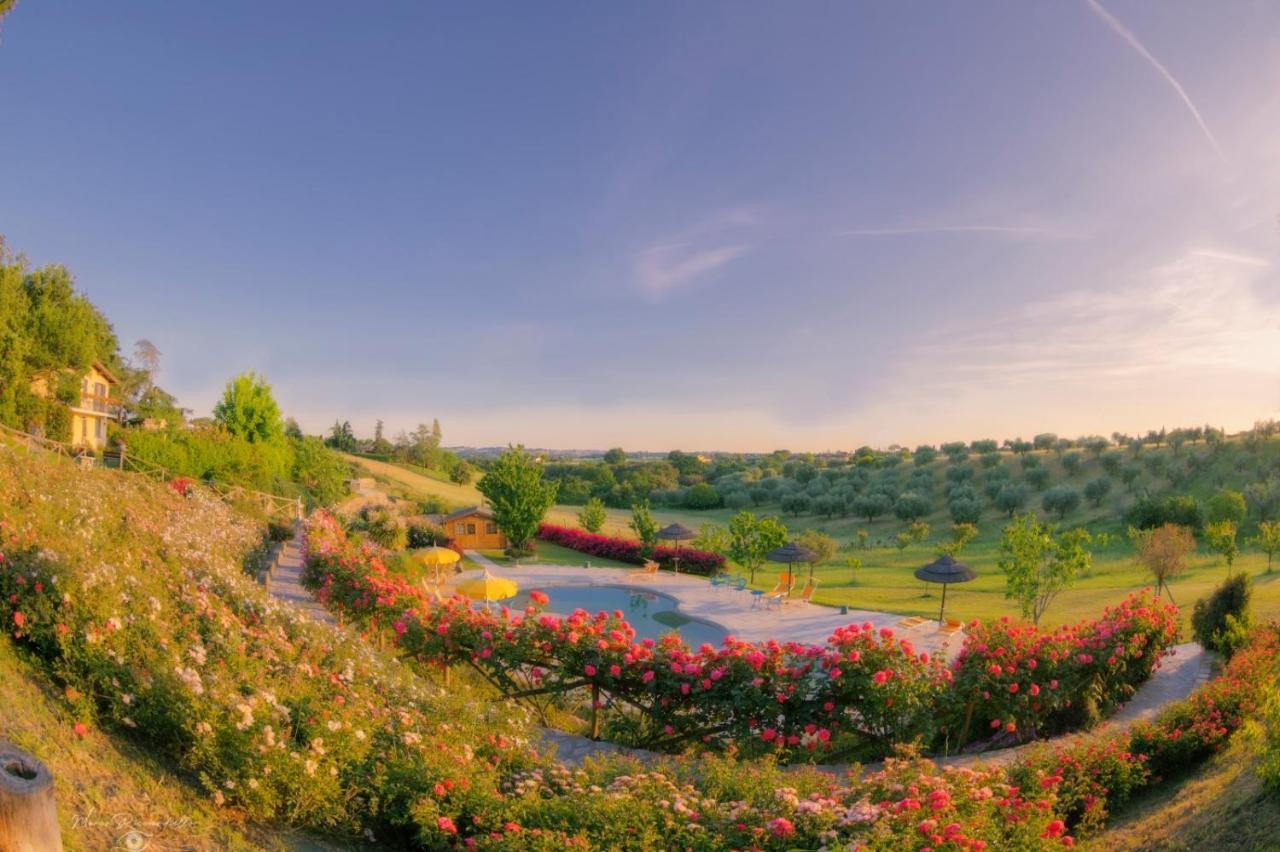 angolo di paradiso Formello Bagian luar foto