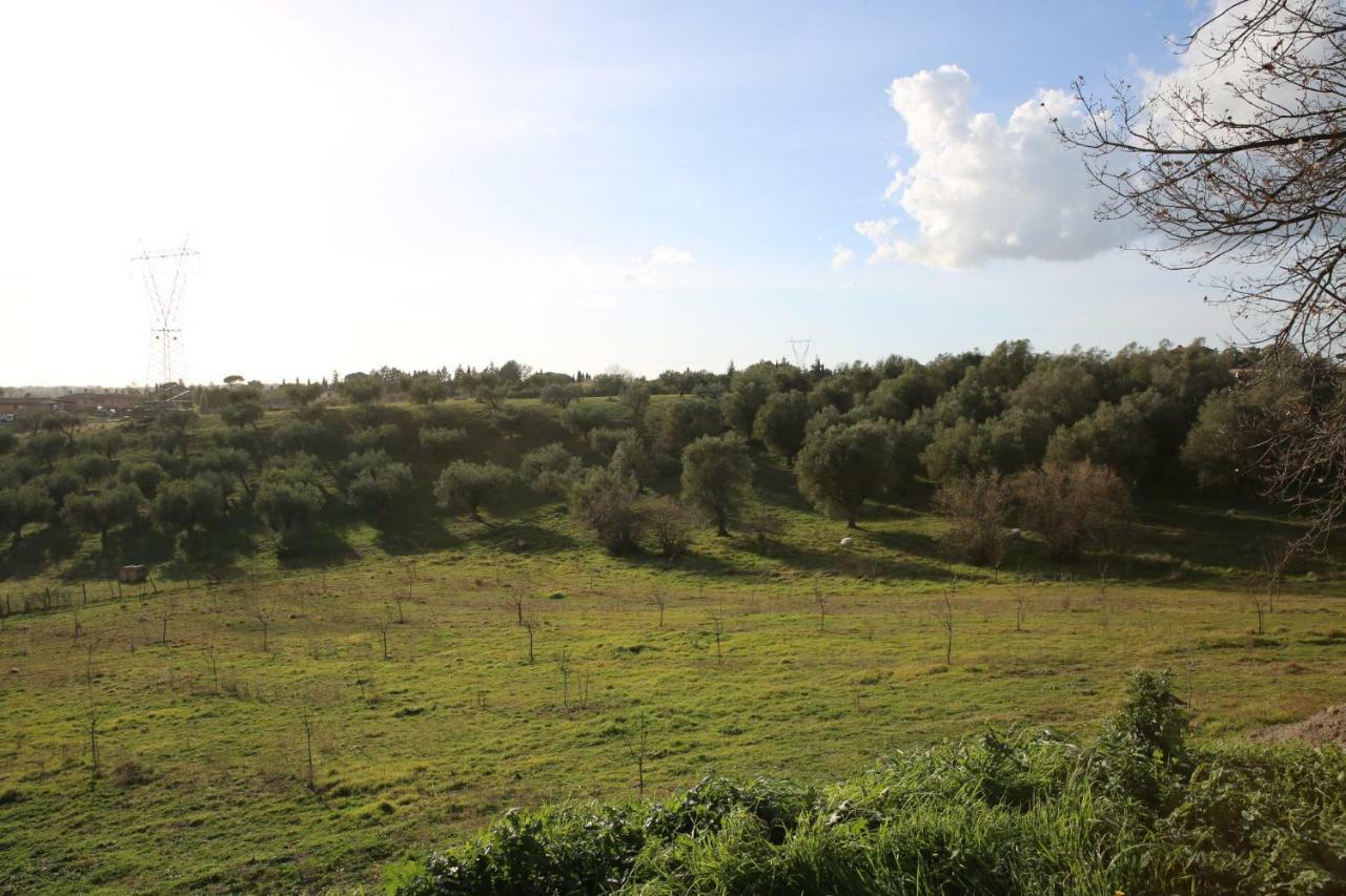 angolo di paradiso Formello Bagian luar foto