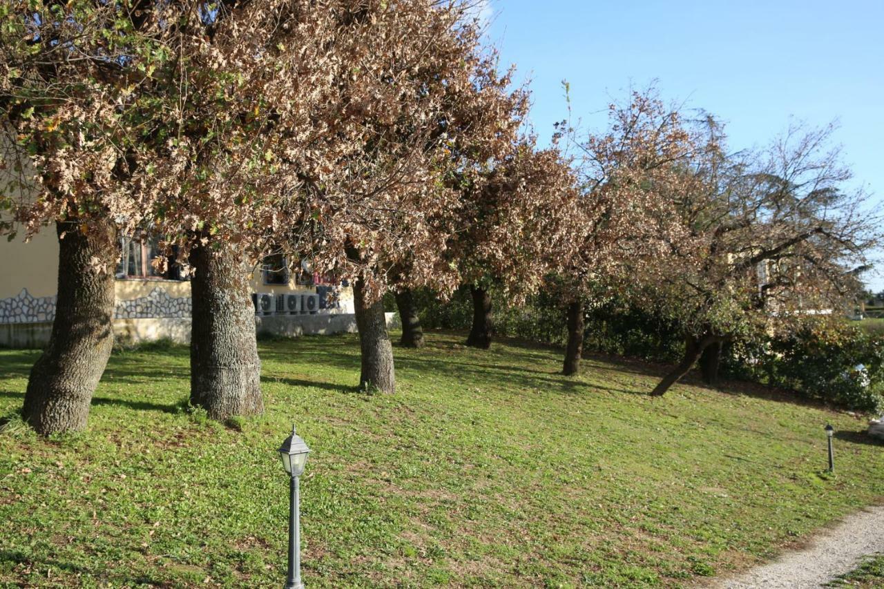 angolo di paradiso Formello Bagian luar foto