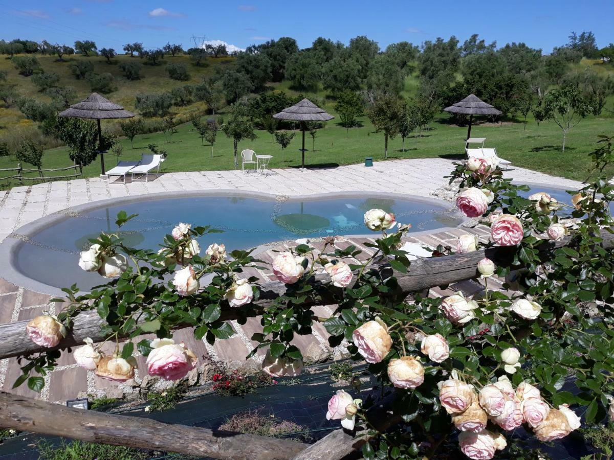 angolo di paradiso Formello Bagian luar foto